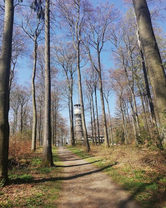 Waldgaststätte Hohes Gras